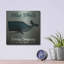 «Barnacle Whale Diving Co» par Ryan Fowler-1533726793