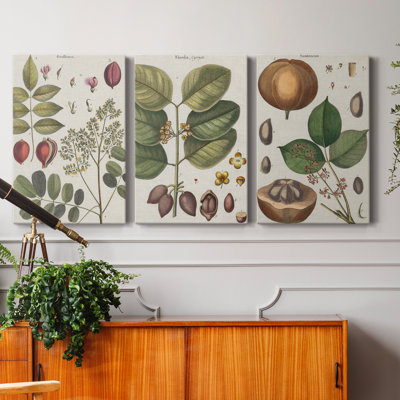 " Exotic Botanique I " 3 - Pieces