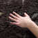 Chaffin Shag Performance Floral Rug
