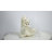Polar Bear Cubs Playing