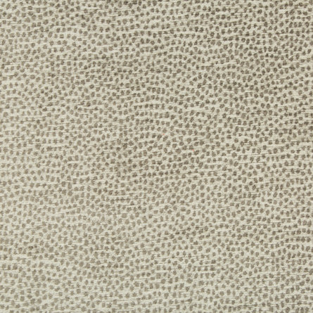 Performance Crypton Home Fabric