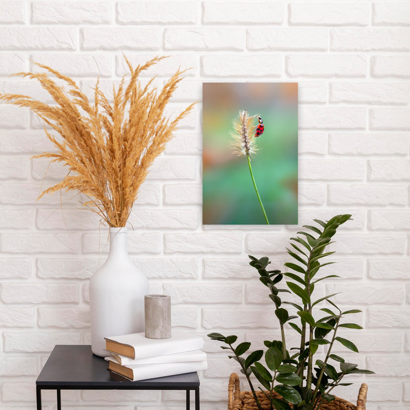 Vibrant Ladybug On Grass Delicate Vibrant Ladybug Autumn Nature Wall Art Print 1 Piece Wrapped Canvas Wall Art