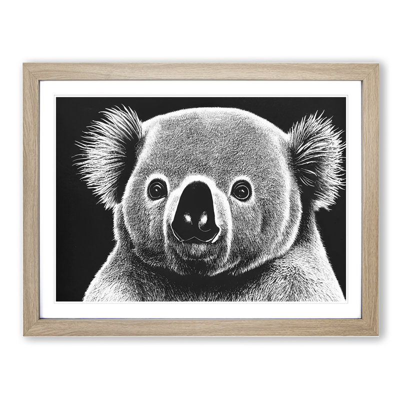 Koala Bear - Single Picture Frame Print, 25cm H x 34cm W, Oak Framed
