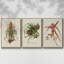 Adriana Classic Chinoiserie I, ensemble de 3 toiles encadrées sur toile-97759318-97759321