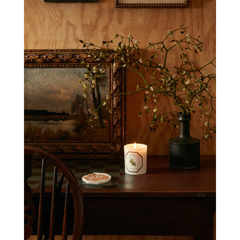 Cedar Candle