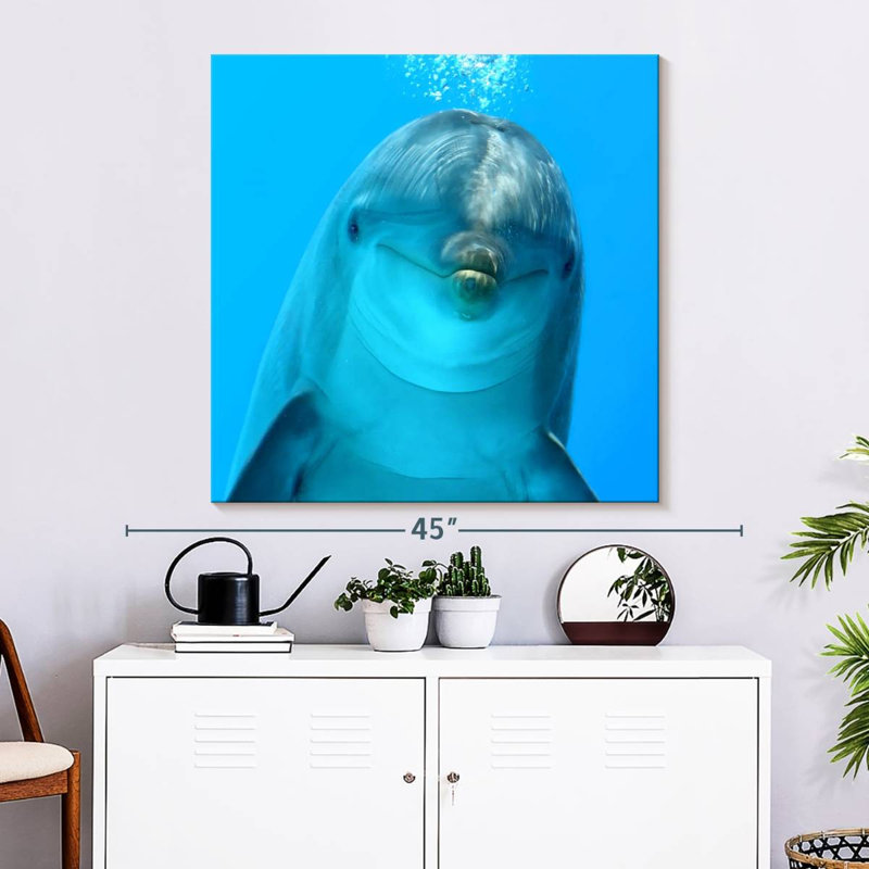 Brampt Dolphin Encounter, H 10 po x l 10 po