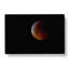 Total Lunar Eclipse - Wrapped Canvas Painting-55361291