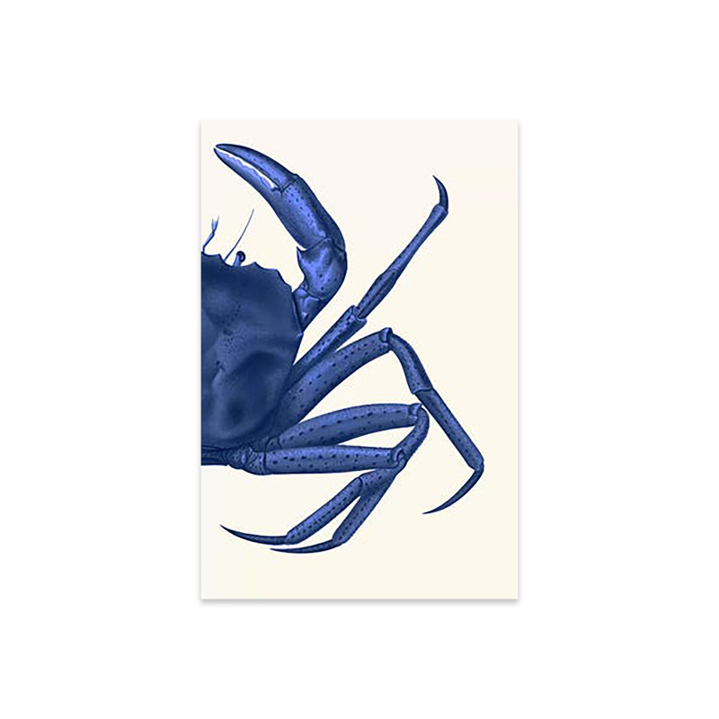 Crabe contrastant bleu marine II, impression sur verre acrylique