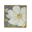 «Grossi Botanical Flower Prints», art mural pour le salon