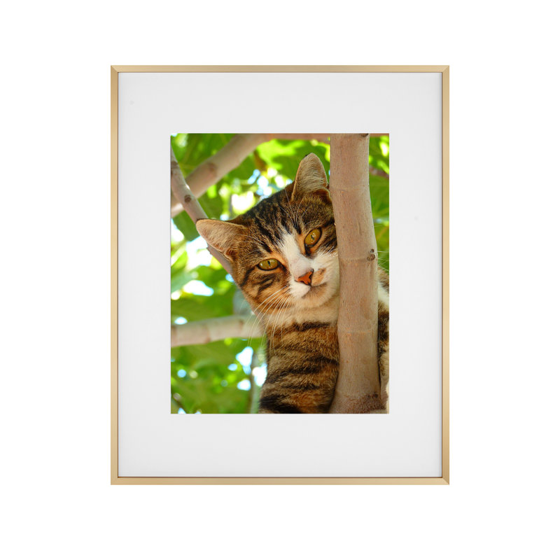 Metal Picture Frame with Mat, Gold