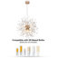 Moyock 8 - Light Crystal Chandelier
