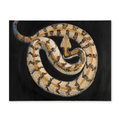 Southern Timber Rattlesnake Placemat | Exotic Reptile Decor