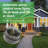 Tamper Resistant Single Pole Light Switch