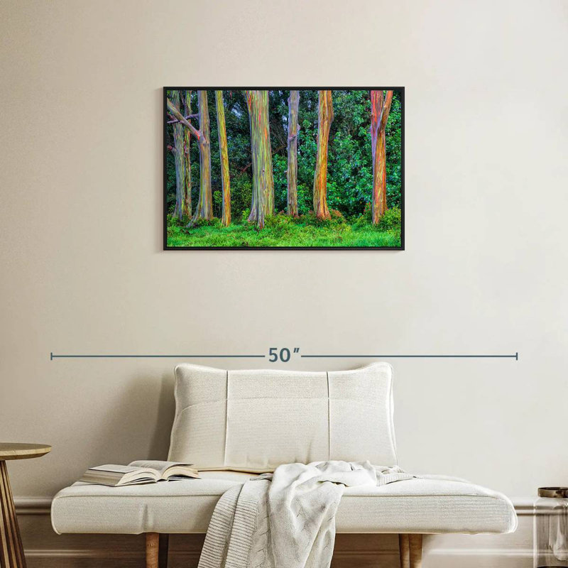 Harnek Eucalyptus Rainbow Trees, 21" H x 31" W