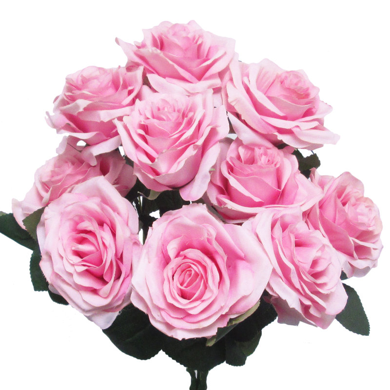 Grand rosier Jaafer Deluxe, Rose pastel