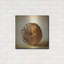 «Oak Pods 5» par Jessica Rogers-2462004