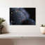 Tranches d'agrumes Yarlin Chic-107723952