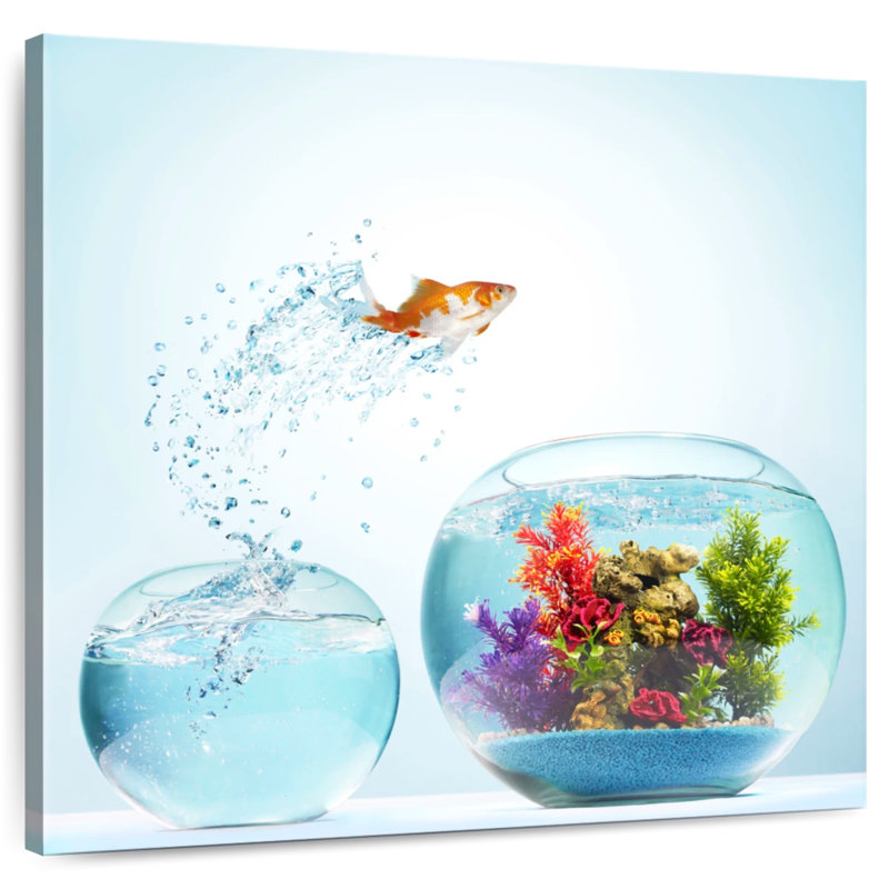 «Crowle Fish», H 10 po x l 10 po