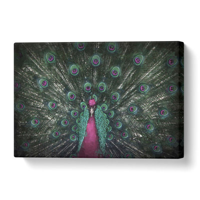Mesmerising Pink & Green Peacock - Wrapped Canvas Print