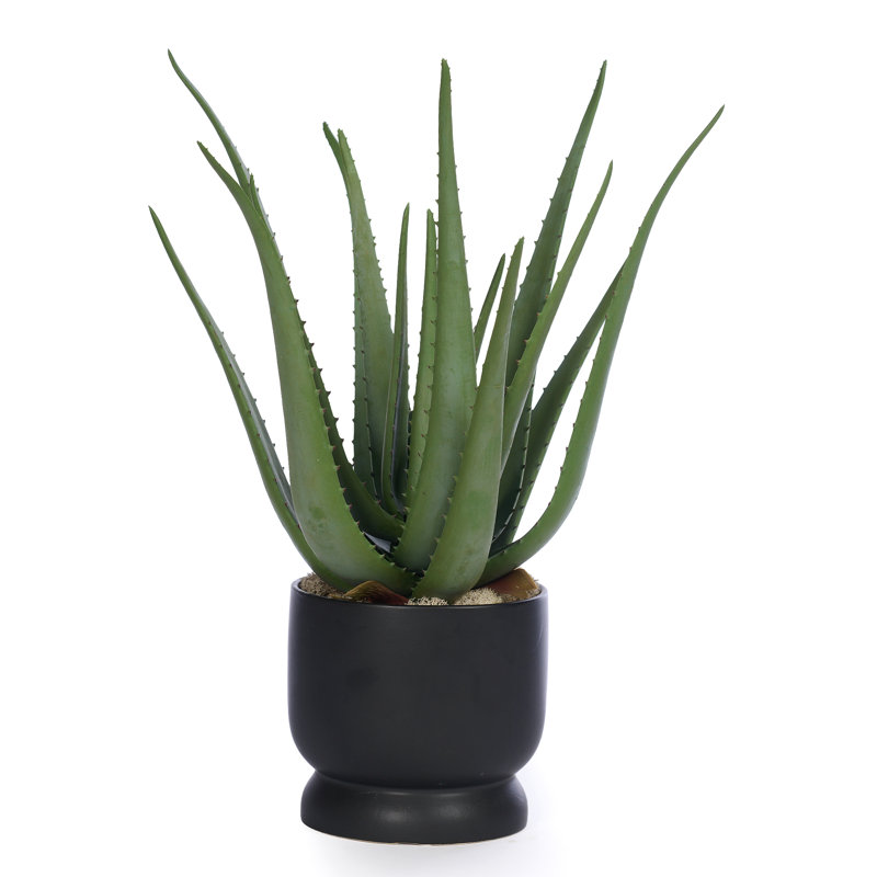Faux Succulent Plant in Pot