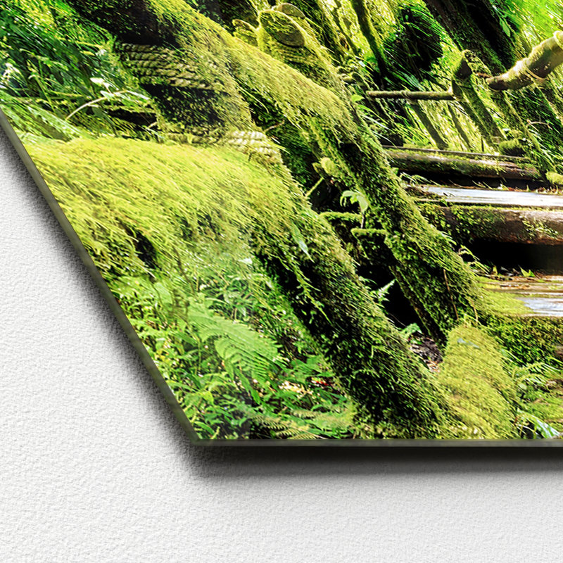 No Frame Painting, 50 cm H x 125 cm W x 1.4 cm D