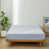 Cornflower Blue