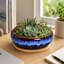 Pot de fleurs rond en céramique de 20 cm pour plantes succulentes avec plateau en bambou
