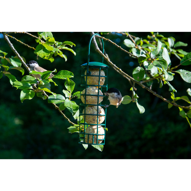100X Fat Balls Without Net Incl. 2 Fat Ball Holders, Fat Food For Wild Birds, 9000G Bird Food