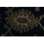 Tapis chinois foncé élégant 9 x 12