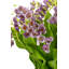 Veda RealTouch Muguet Arrangement-2006445243