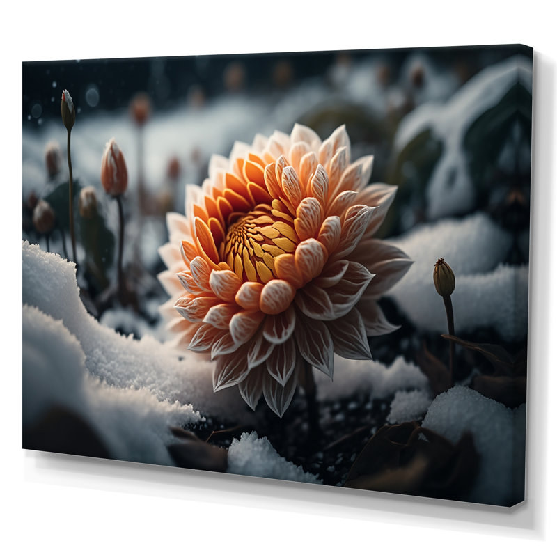 Une fleur de dahlia orange en fleurs III - Impression sur toile, H 16 po x l 32 po x P 1 po, Toile tendue