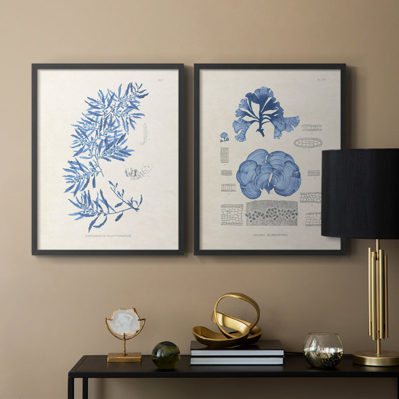 Blue Marine Algae III - reproduction encadrée de qualité supérieure - prête à être accrochée - aucun clou requis - aucun clou requis