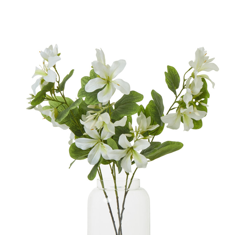 Arrangement