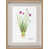 Framed Paper