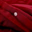 Kamiaya Plain Microfibre 200TC Reversible Duvet Cover Set-1748363807-1748363786