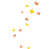 Orange / Yellow