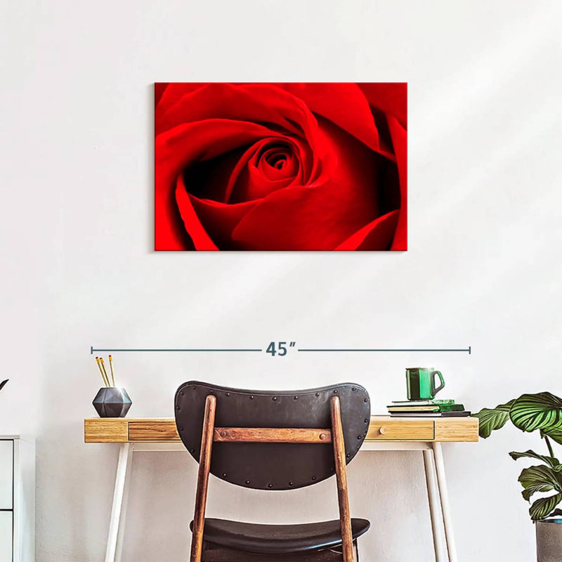 Harnek, gros plan d'une rose rouge, H 20 po x l 30 po