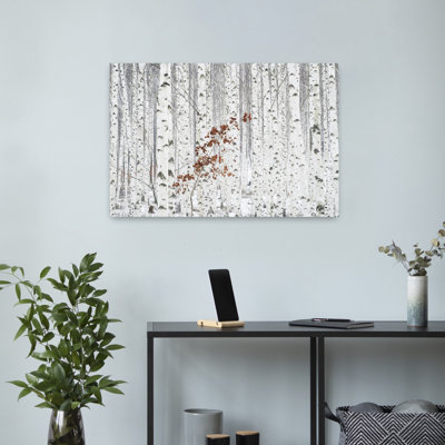 Contemporary Art Abstract Contemporary Birch Autumn Forest Art