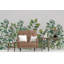 Papier peint amovible avec feuilles vertes et plantes de jardin-653480334