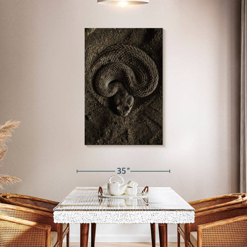 Brampt Coiled Horned Rattlesnake, 45" H x 30" W