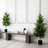 Artificial Norfolk Pine Tree-1606007050