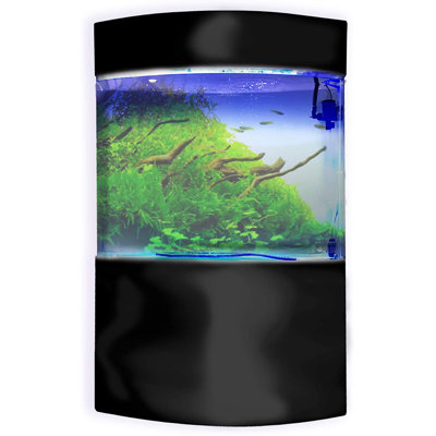 Aquarium 58 gallons Bowfront