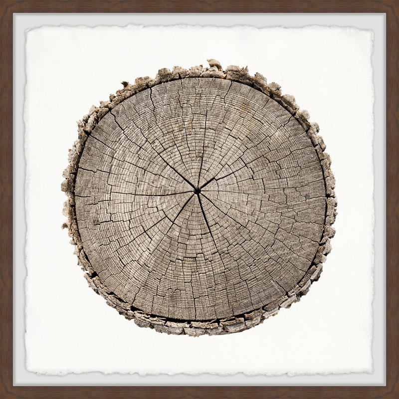 Stuck In Time by Marmont Hill - Single Picture Frame Painting, 51cm H x 51cm W x 3.81cm D