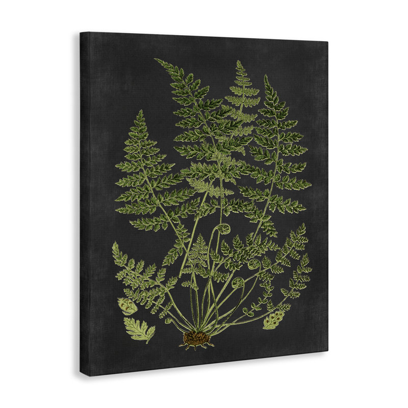 «Botanical Dessin Green Black Design», impression, H 20 po x l 16 po