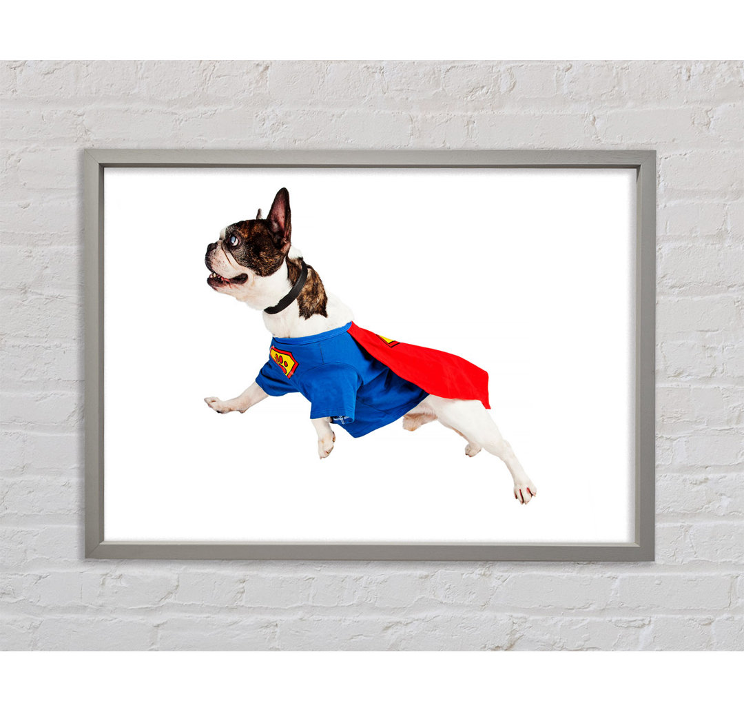 Super Dog Gerahmter Druck