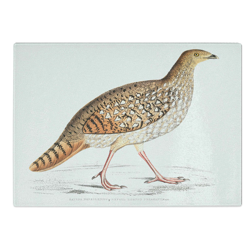 Tempered Glass Pheasant Illustration by John Edward Gray Chopping Board, 28.5 cm W x 20 cm L
