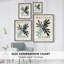 Matisse Ccclxxxxi, reproduction encadrée, reproduction encadrée-806671132