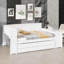 Full-Size Daybed With Drawers, Trundle Bed, Charging Spot, LED Lights, Workstation, And Storage Unit-1047868341