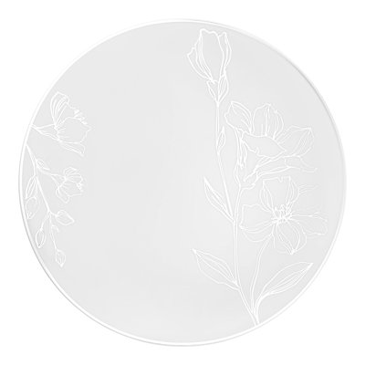 Heavy Weight Plastic Dinner Plates