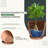 Plant Pots Indoor with Drainage-2099958488